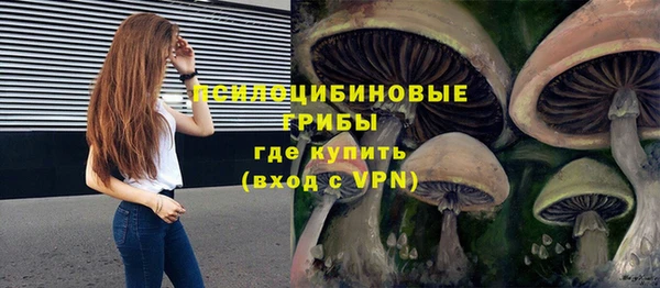 apvp Пестово