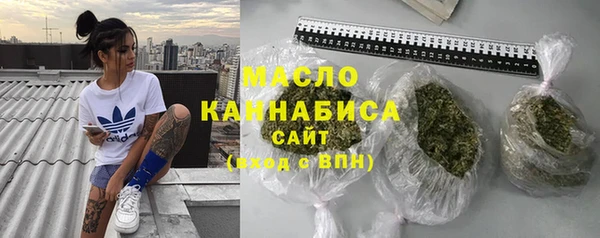 сатива Пересвет