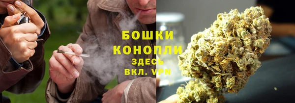 прущие грибы Арсеньев